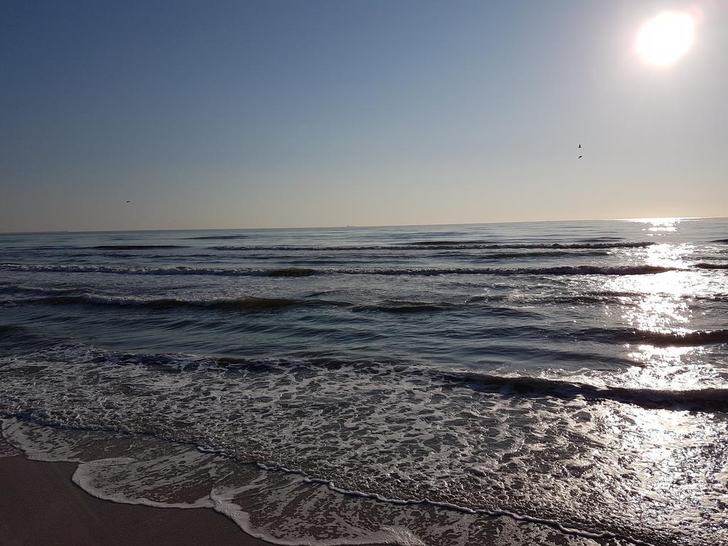 Apartment Summerland Mamaia Dış mekan fotoğraf